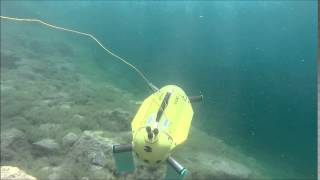 Depth control of a biomimetic turtle-like AUV