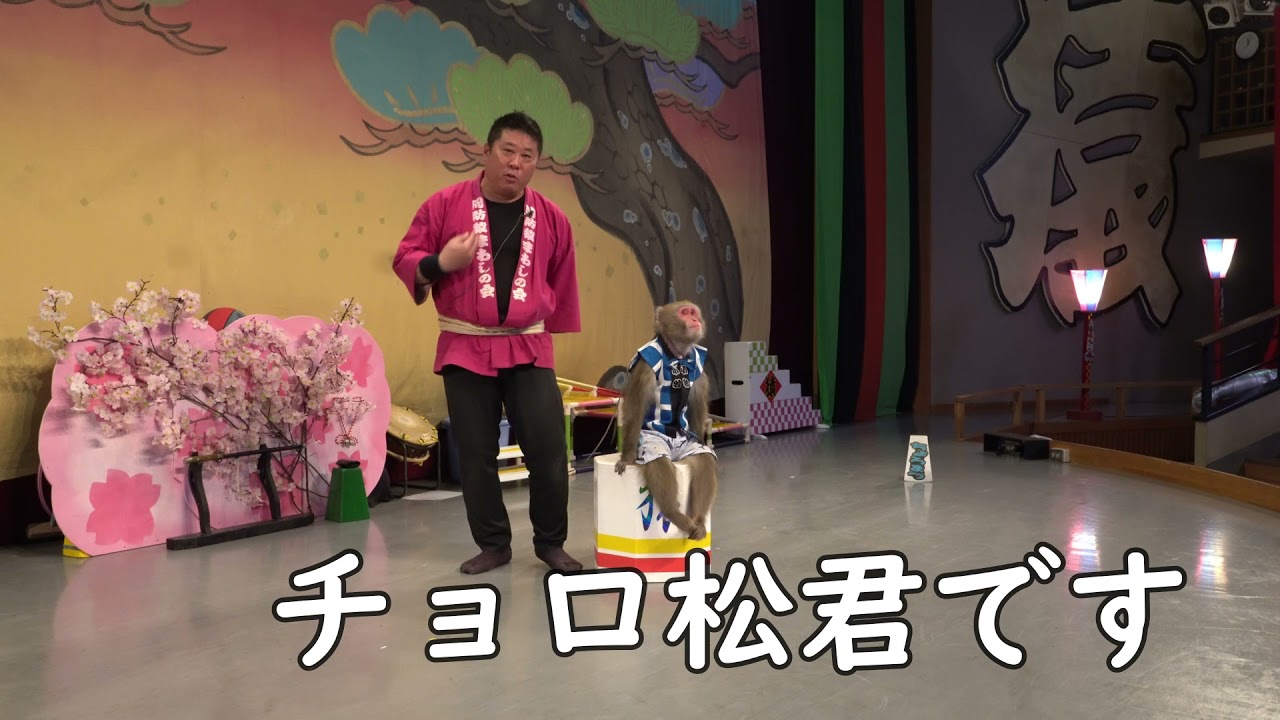 4月19日qたろうジュニア君デビューしました Youtube