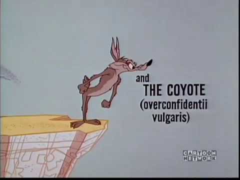 Road Runner & Wile E. Coyote - Latin Translations