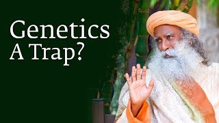 Sadhguru at Harvard: How Your Genetics Can Trap You Sadhguru at Harvard: How Your Genetics Can Trap You