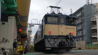 信州カシオペア推進回送　Ｅ26系12両+EF64-1053