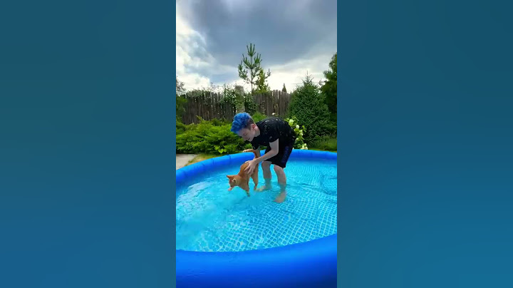 Кайто не умеет плавать😅