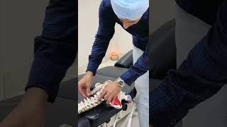 Spondylolisthesis Explained, How This Occurs #deepchiropractor #spondylolisthesis #lowerbackpain