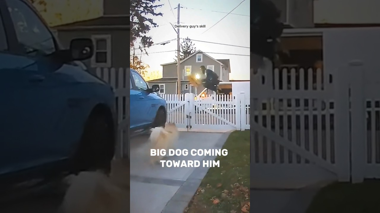 Amazon Delivery Guy Jumped A big Fence After Seeing a Big Dog 