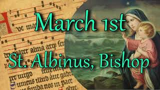 Saint Of The Day  March 1st  St Albinus Bishop