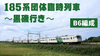 185系団体臨時列車～黒磯行き～　警笛あり