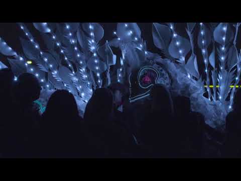Garden of Lights | Hussain Muthaffar