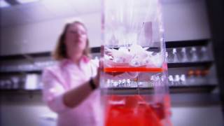 "Research is a Way of Life."