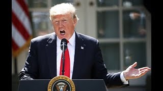 Trump Live-Tweets Morning Joe, Which He Definitely Never Watches screenshot 3