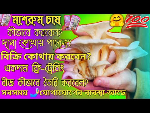 ভিডিও: মাংসাশী মাশরুম। কোন মাশরুমকে মাংসাশী বলা হয়?