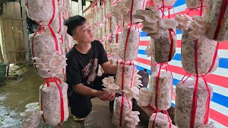 Thanh Went To Pick Mushrooms To Sell, Then Came Back To Cook A Cozy Dinner With His Grandmother.