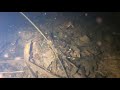 Underwater. Erdkröt unter Wasser
