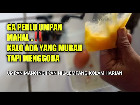 Resep umpan ikan nila kolam harian empang|umpan nila jitu