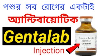 Gentalab Injection use benifits Side-effects in bangla | জেন্টামাইসিন এর উপকারিতা ও ক্ষতিকারক দিক কি