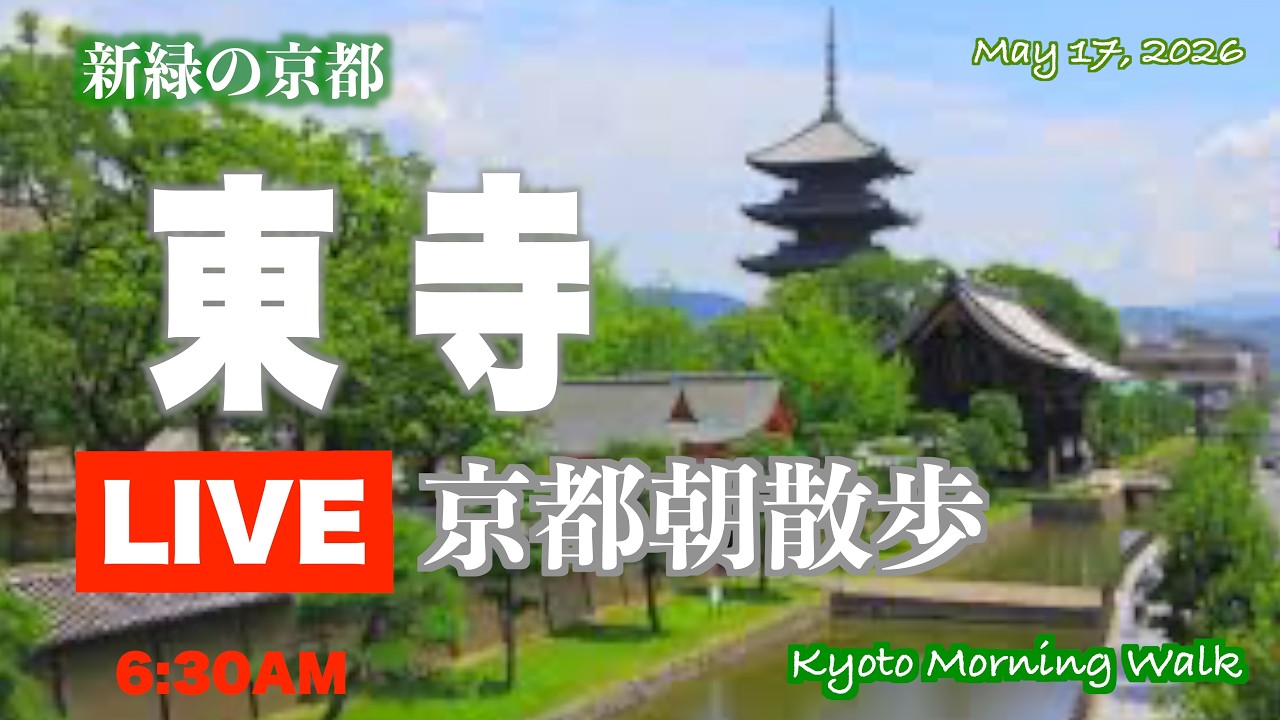 京都朝散歩LIVE】東寺｜Kyoto Morning Walk Live Japan Walking Tour