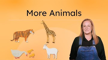 More Animals - Zoo and Farm Animal Signs in ASL