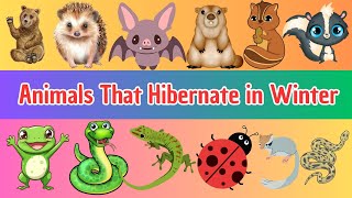 30 Animals That Hibernate in Winter | Fun Winter Wildlife Facts for Kids 🐻❄️ | Tiny Tutors TV
