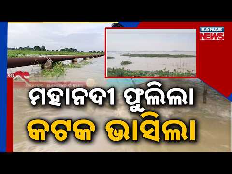 Cuttack Flood Crisis | Mahanadi Overflow Destroys Crops