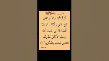 سورة الحشر ماهر المعيقلي ♥