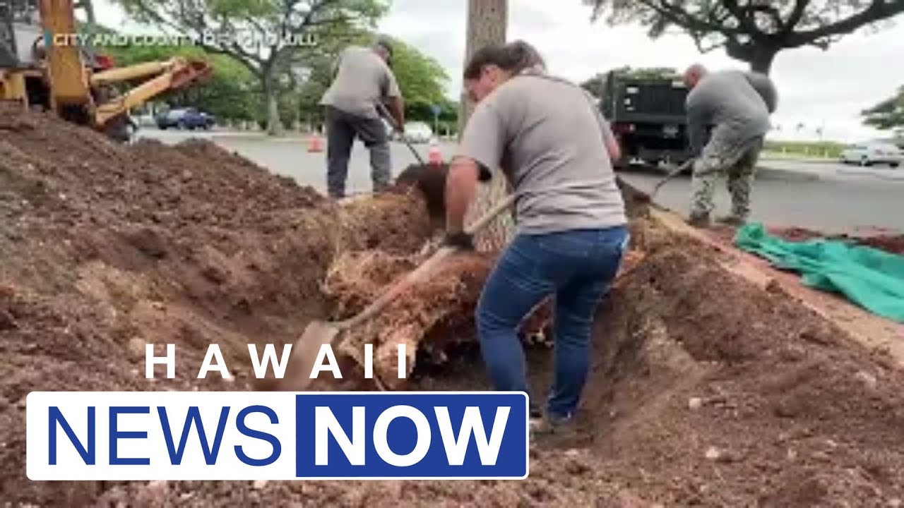 This Earth Day, city leaders showcase work being done to reduce carbon footprint on Oahu