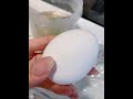 【こにのお昼ご飯】電子レンジで茶碗蒸し