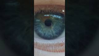 oceaneyes foryou eyelashes eye eyes blueeyes blue browneyes brown