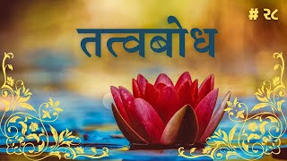 सत्संग  # २८: दुःख बंधन, चित्त का भटकाव, स्मृति, निद्रा, सुषुप्ति, अस्तित्व और अनुभवक्रिया, असुरक्षा