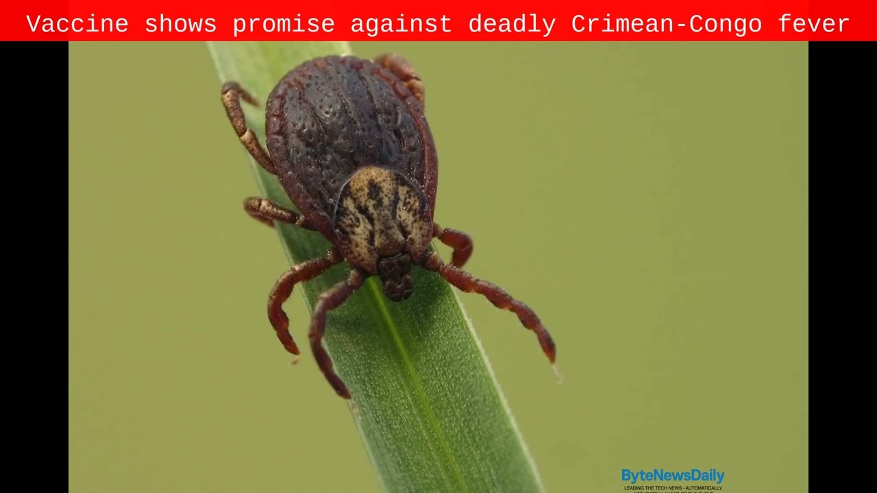 Vaccine shows promise against deadly Crimean-Congo fever - Byte News Daily