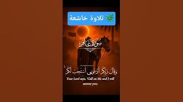 تلاوة خاشعة من سورة غافر🌿#قران_كريم #قرآن #آيات #غافر #تلاوة_خاشعة #quran #ayat #viral #goodvibes