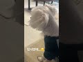 잠시 멈춤! 귀여움 충전하고 가세요