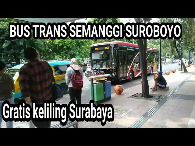 Jalan Jalan Gratis Keliling Surabaya Bersama Bus Trans Semanggi Surabaya class=