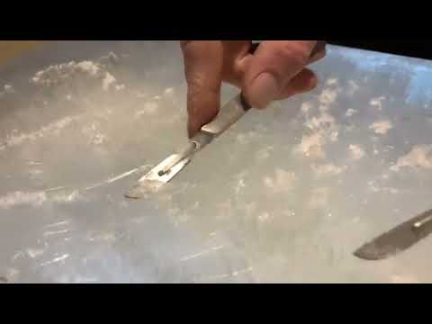 Tiny Ice Skating Foley for 'Marcel The Shell With Shoes On'