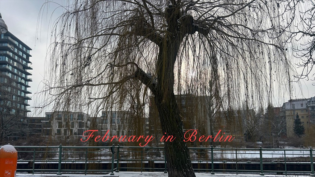 February in Berlin, shopping, first week of work and friends