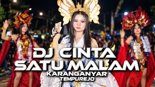 DJ ONE NIGHT LOVE X TEAM PENGKO X BREWOG AUDIO KARANGANYAR TEMPUREJO JEMBER CARNIVAL 2026