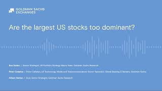 Are the largest US stocks too dominant?