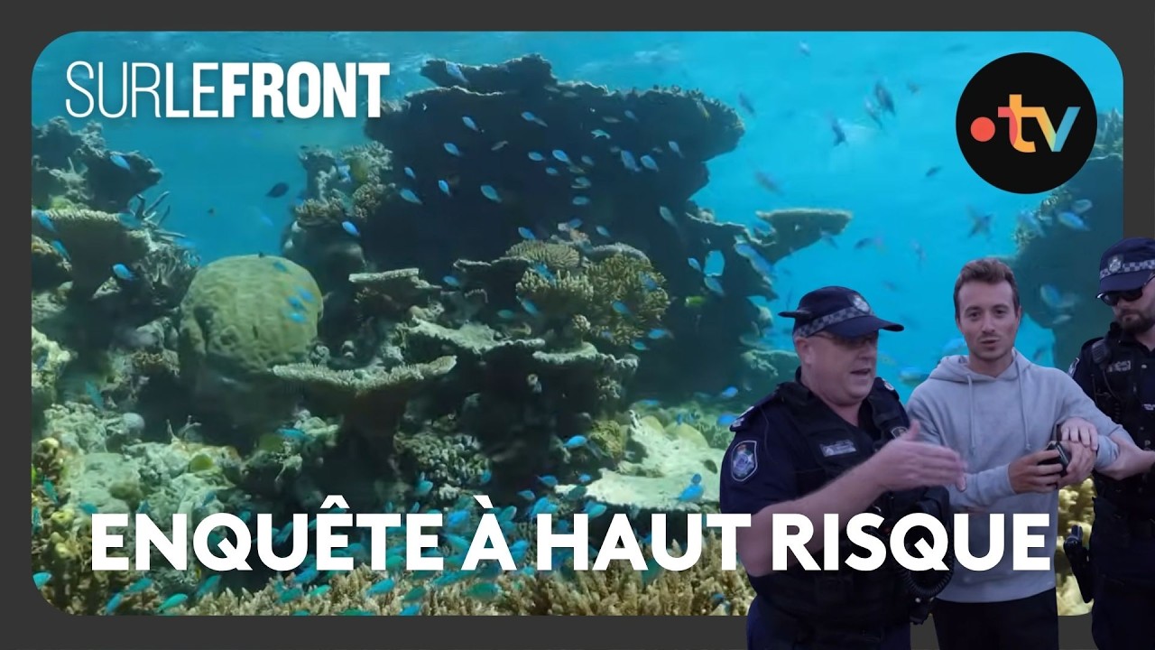 Sur le front des coraux avec Hugo Clément