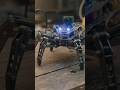 Meet the DIY Spider Robot! 🕷️🤖#DIYSpark #SpiderRobot #RoboticsDIY