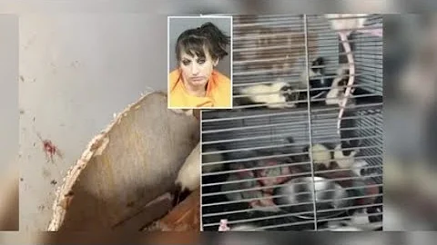 Shannon Marie Morgan Arrested After Young Child Is...