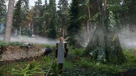SkyrimSE Ultra Modded 4K : 2021 Graphics !! Pine forest !!