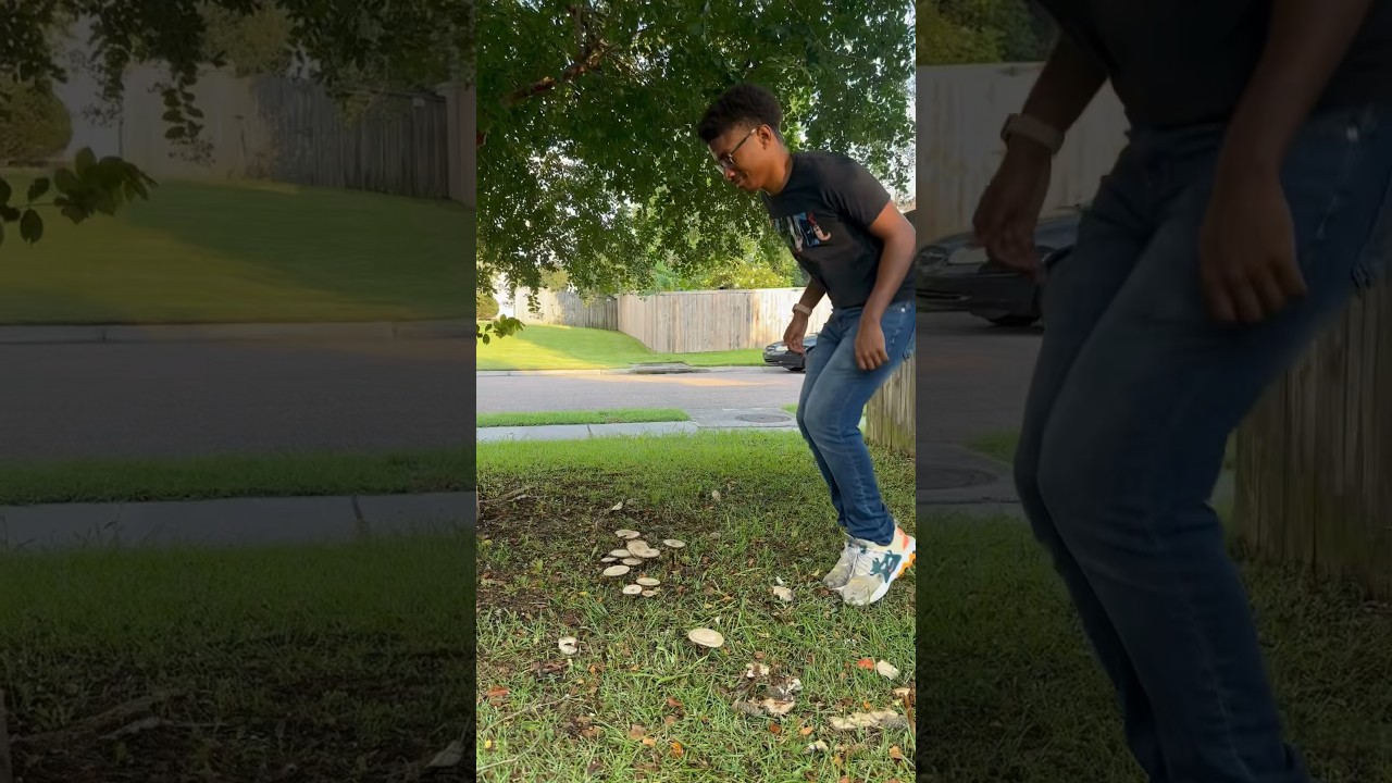 Dad Jokes - Mushrooms 