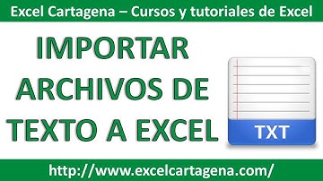 Importar base de datos de archivos de Texto a Excel (.txt/.csv)