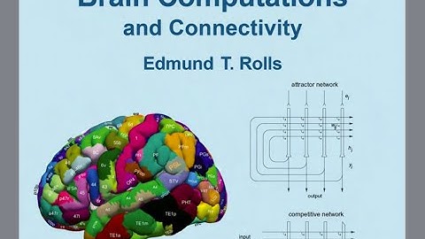 Creative Machine: Edmund T Rolls on "Brain Computations and AI"