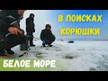 ЗИМНЯЯ РЫБАЛКА на Белом море. В поисках КОРЮШКИ.