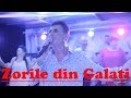 Zorile din Galati - 26 August 2018 - Galati #1