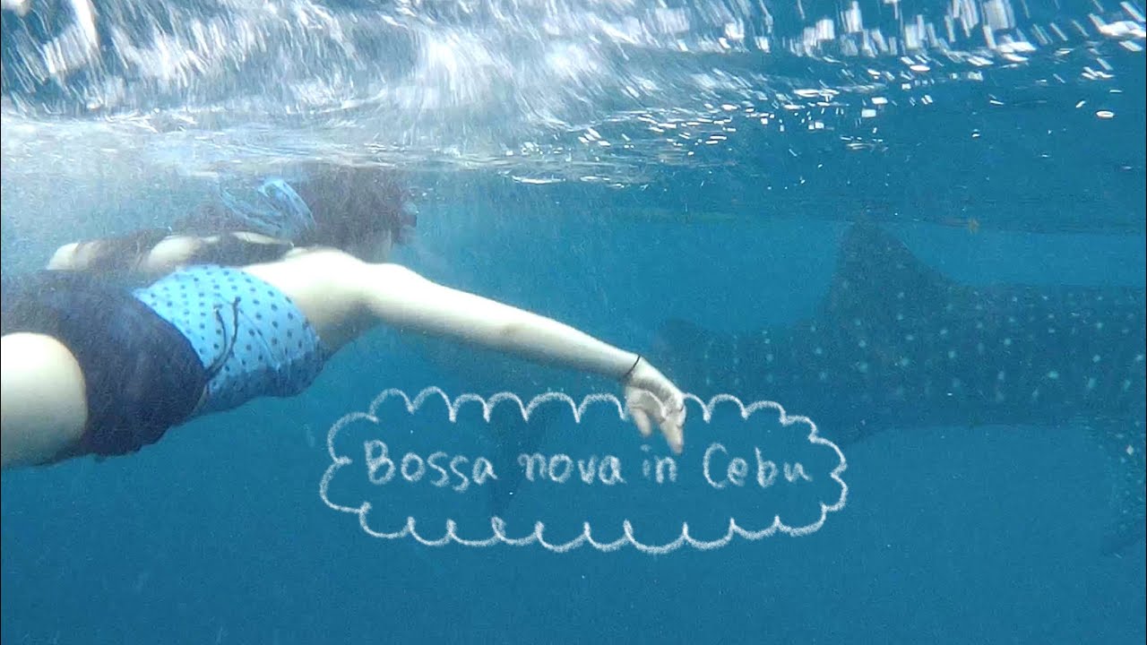 𝚃𝚑𝚎 𝚋𝚘𝚜𝚜𝚊 𝚗𝚘𝚟𝚊 𝚒𝚗 𝙲𝚎𝚋𝚞 🌴