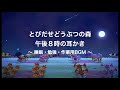 【ASMR】とびだせどうぶつの森 午後８時の耳かき 睡眠/勉強/作業用BGM 声なし No talking【とび森】