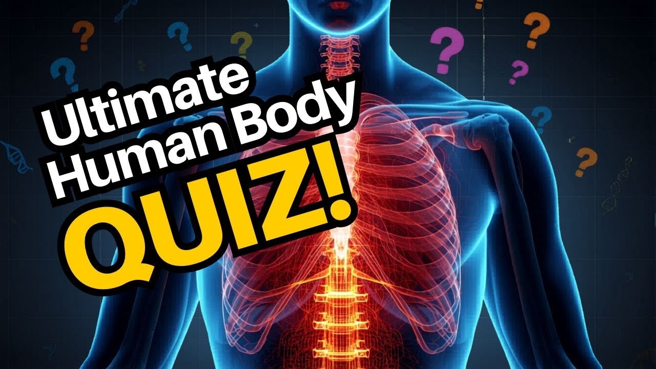 Can You Pass This Human Body Quiz? 🧠 Take This Question Anatomy Quiz! 📚 ...