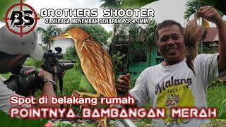 POINTNYA BAMBANGAN MERAH