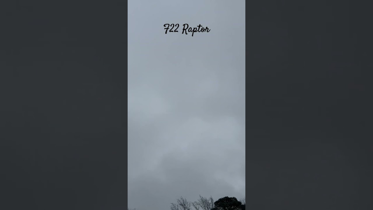 F22 Raptor Stealth Mode     