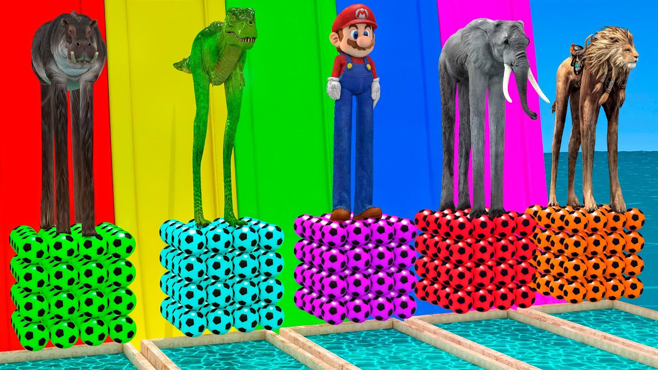 Long Slide Game With Elephant Gorilla T-Rex Buffalo Tiger - 3d Animal Game - Funny 3d Animals